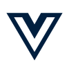 Vue icon