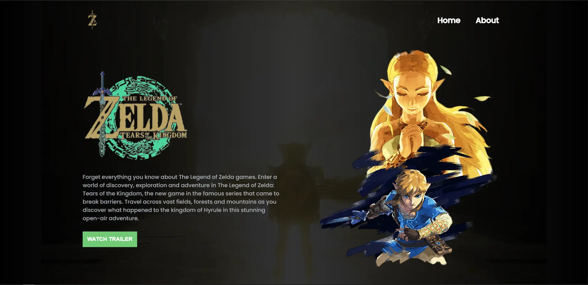 Zelda project splash screen image